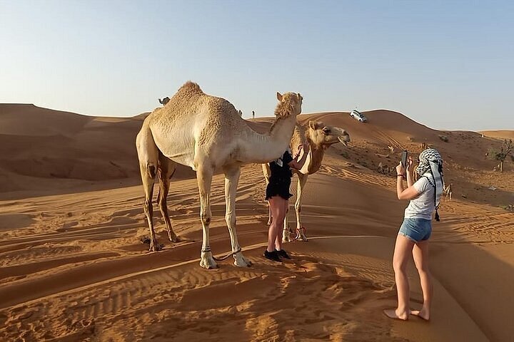 Complete package of Dubai desert safari deals including dune bashing and BBQ dinner