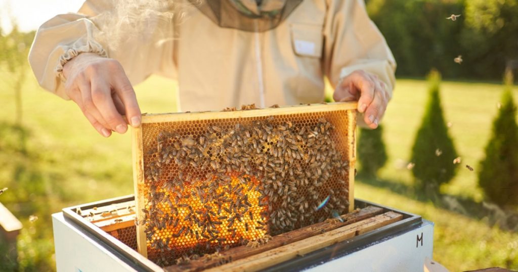 Family visiting the Honey Bee Discovery Centre on a Hatta Mountain tour Dubai