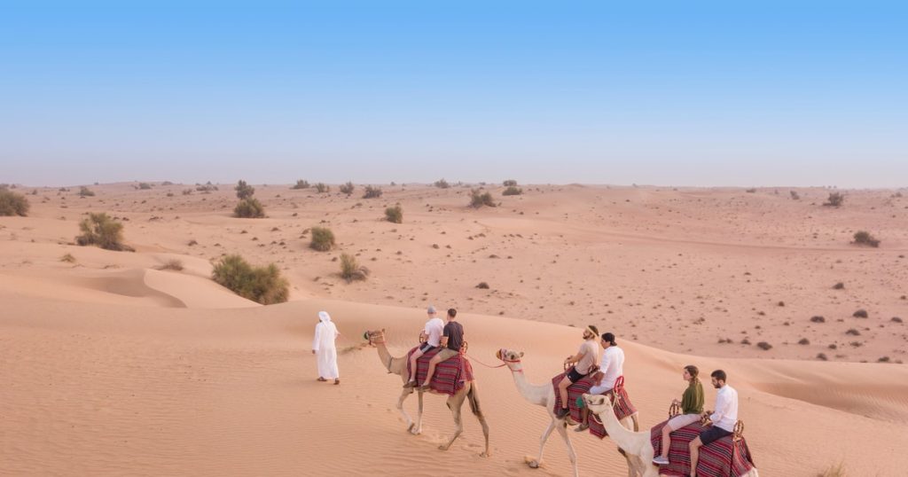 Desert Safari Al Ain with camel ride and desert camp