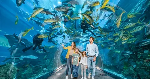 Dubai city tour with kids at Dubai Mall