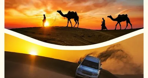 sunset desert safari Dubai