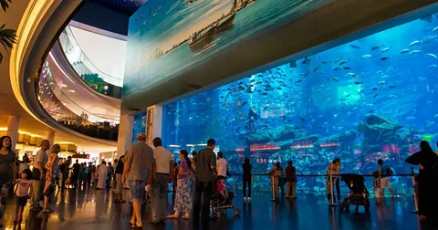 Things to Do in Dubai Mall and Aquarium