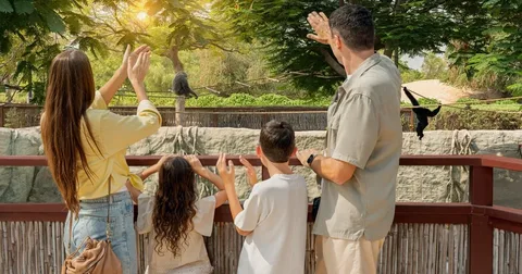 Dubai desert safari with kids